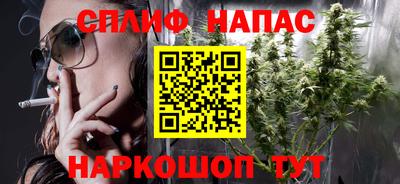 прущие грибы Абакан