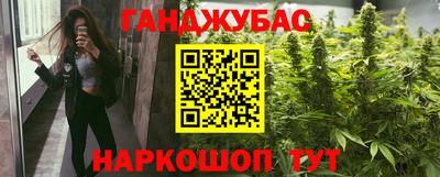прущие грибы Абакан