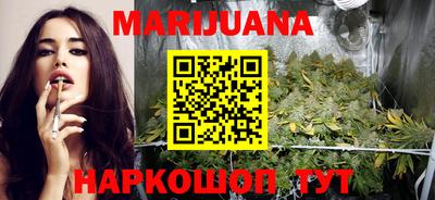 прущие грибы Абакан