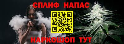 прущие грибы Абакан