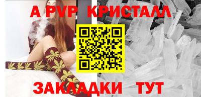 прущие грибы Абакан
