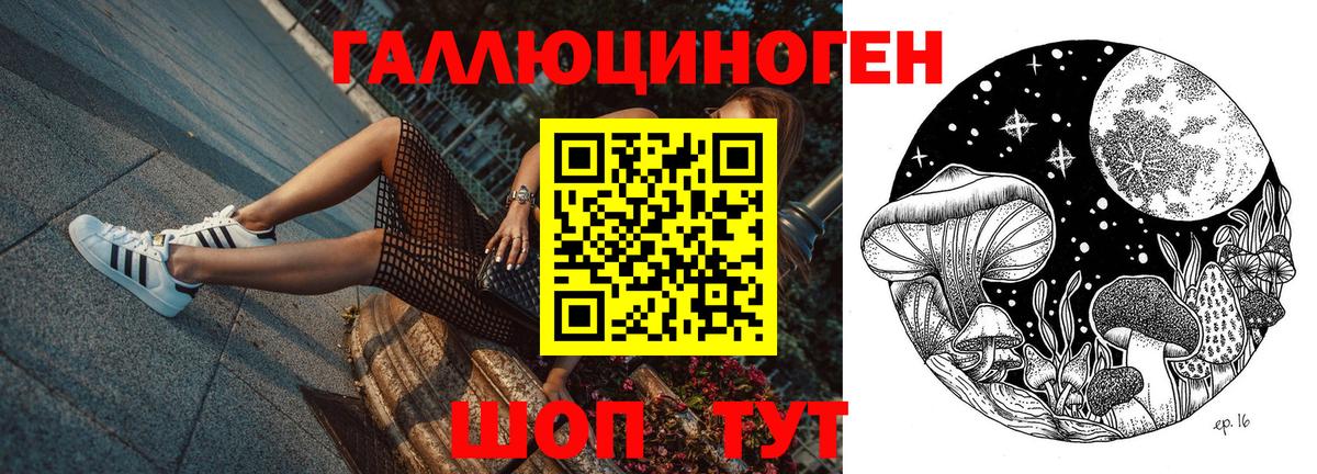 Псилоцибиновые грибы Cubensis Альметьевск